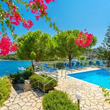 Dolphin 2 جايوس